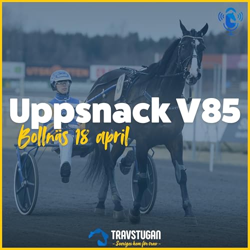V85 Bollnäs 18 april &ndash; "Han kan spetsa med en kamel"