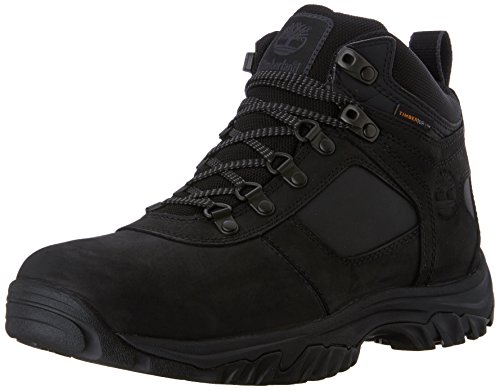 Timberland Men's Mt. Monroe Mid Waterproof Winter Boot