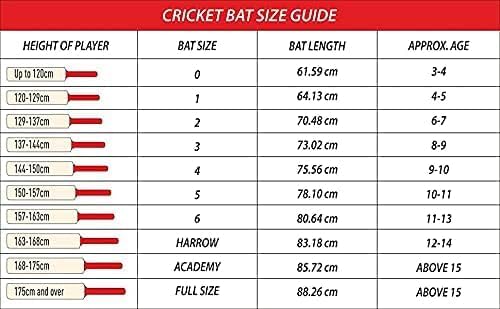 Image of Premium English Willow Cricket Bat - Traditional Profile, Reliable Performance for Serious Players