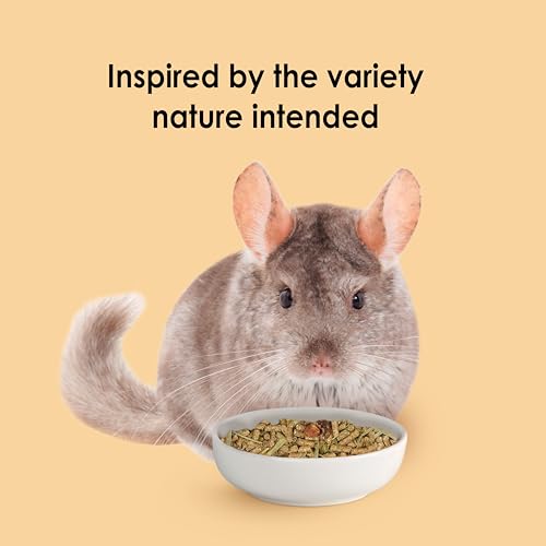 Kaytee Food from the Wild Chinchilla,3 Pounds,(Pack of 2) - image 7