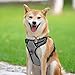 PoyPet No Pull Hundegeschirr, reflektierendes Westengeschirr mit 2 Leinenbefestigungen und einfachem Steuergriff für kleine mittelgroße Hunde (Grau, S (1er Pack))