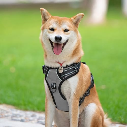 PoyPet No Pull Hundegeschirr, reflektierendes Westengeschirr mit 2 Leinenbefestigungen und einfachem Steuergriff für kleine mittelgroße Hunde (Grau, S (1er Pack))