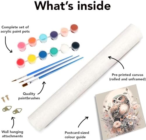 image for Mrnsiet Owl Paint by Number for Adult Kit, DIY Acrylic Paint by Number