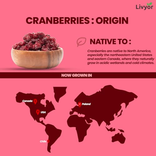Livyor Sliced Cranberries - 1kg | Naturally Dried | Dry Fruits | Rich in Fibre | Healthy and Tasty | Naturally Sweet | Pack of 1 - Image 4