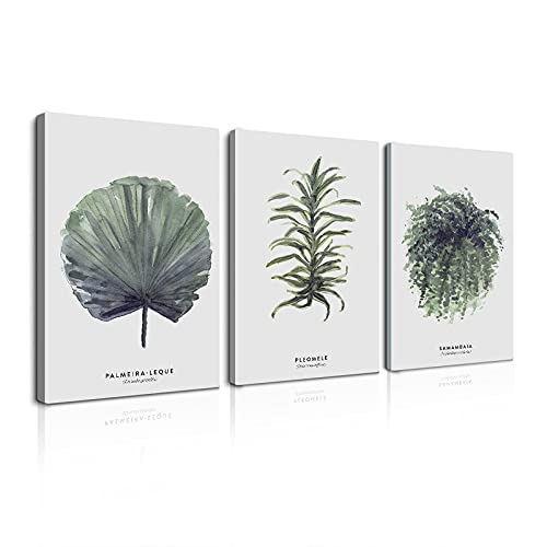 緑 植物 アートパネル 3枚セット飾り絵 ポスター 壁掛けアート アートフレーム モダン アートボード 絵画 印刷された インテリア部屋飾り 壁掛け(C, 50cmX70cm)