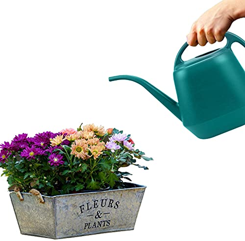 Fasmov 4 Liter Gießkanne Kunststoff Gartengießkanne Blumengießkanne für Innen- und Außenbereich (Grün)