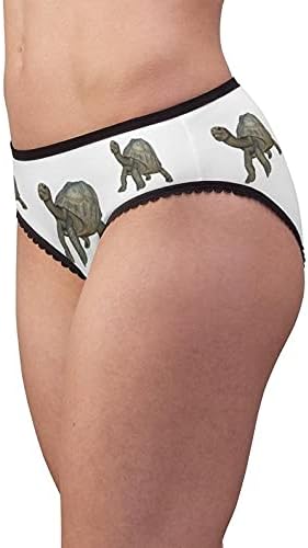 Galapagos Tortoise Panties, Galapagos Tortoise Underwear, Briefs, Cotton Briefs, Funny Underwear, Panties For Women