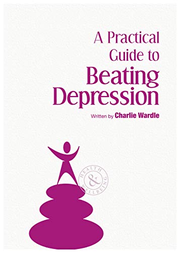 A Practical Guide to Beating Depression view 2