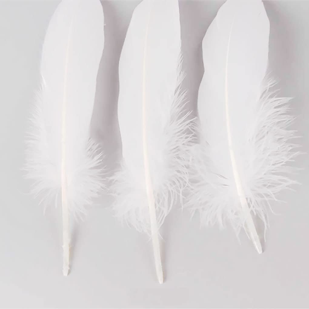 Ensemble De Plumes D'oie Blanches Volantes | Vecteur Premium