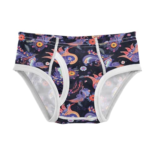 visesunny Boys Potty Training Underwear Mysterious Bird Totem Pattern Breathe Cotton Briefs Size 2T-8Y for Toddler