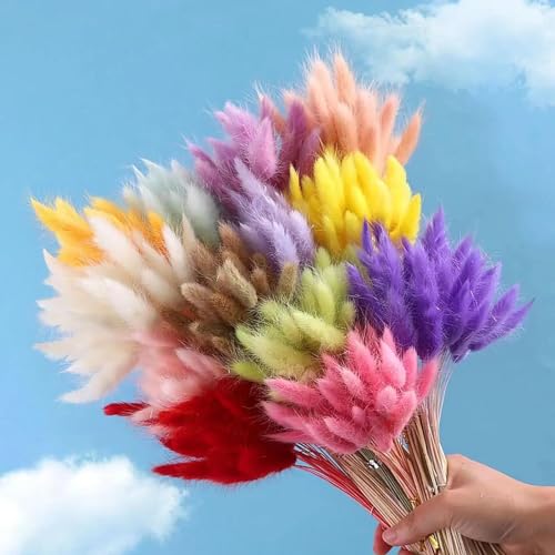 Pampas Grass Decor Tall 60Pcs 45cm Flores Secas Naturales miniatura 5