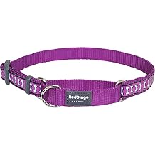 Red Dingo Reflective Martingale Dog Collar, Small, Purple