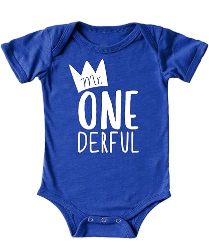 Olive Loves Apple Mr One-Derful Baby Boys 1st Birthday Bodysuit First Birthday Outfit for Boys2