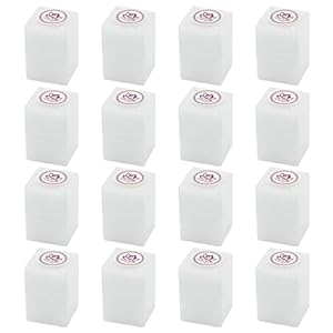 64-Tablets 1LB Natural Camphor Blocks – Refined Pure Camphor Cubes for Indian Pooja Alcanfor Tablets Religious Purpose Kapoor for Pooja Odor Eliminator Incense Ideal Indian Ritual Staff (454G)