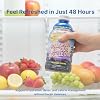 Hollywood diet - 48-Hour Miracle Fruit Juice Cleanse Diet 4-Pack, Detox Cleanse for Weight Loss & Rejuvenation, Food Replacement, Fast Acting Diet, Delicious & Tasty Formula, 32 Fl. Oz.