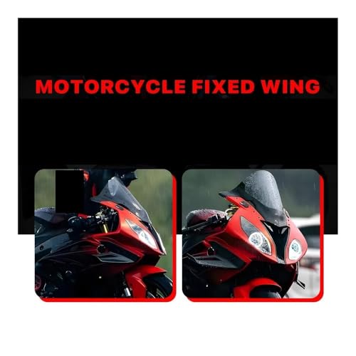 Aileron avant fixe carbone pour S1000 RR 2015 2016 2017 2018