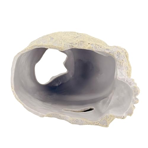 Image of CTWPets Aquarium Human Skull Decor for Betta Fish, Sinking Hide Shrimp Hide