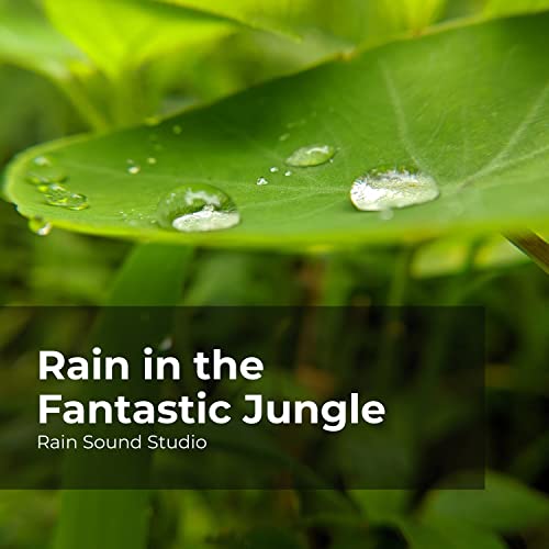 Rain Boosts the Spirit