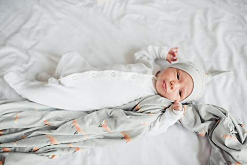Image of Baby Beanie Hat Top Knot Stretchy Soft inchSwift inch by Copper Pearl