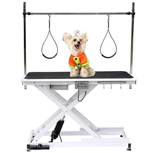 Top 10 Electric Dog Grooming Table of 2022 Katynel
