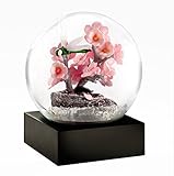 Dragonfly Snow Globe by CoolSnowGlobes®