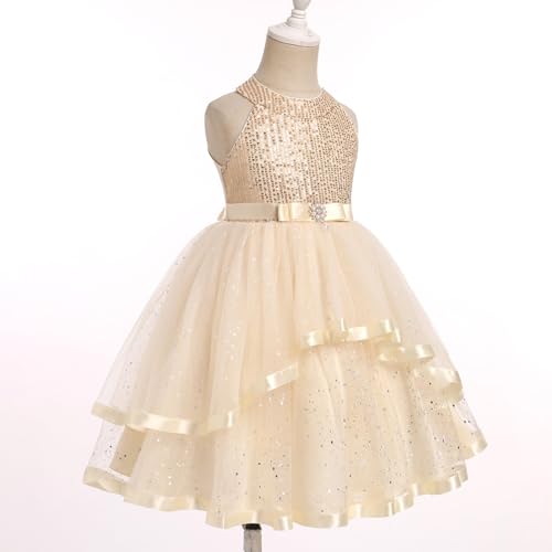 OBEEII Toddler Girls Pageant Dress Princess Sequin Tulle Tutu Dress Birthday Party Photoshoot Dress Glitter Flower Girl Dress3
