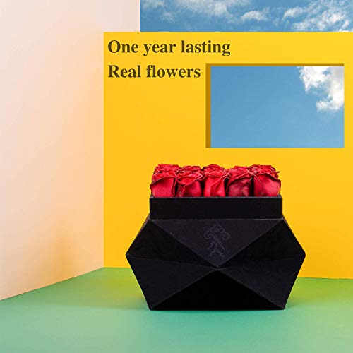 Premium Roses| Real Roses That Last a Year | Fresh Flowers| Roses in a Box (Black Box, Large)