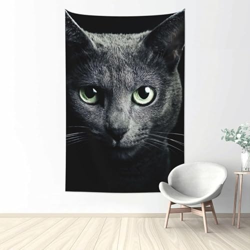 CeA @\ L̓ CeA EH[A[g @\ z|X^[ z fR[V J[e J[ Mtg z |X^[