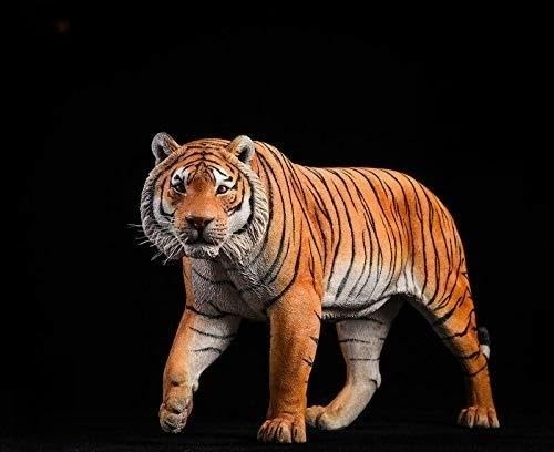 WLNTDOLA 1:6 Scale Bengal Tiger Figure Panthera Resin Model Realistic Wild Animal Collection Gift Party for Adult