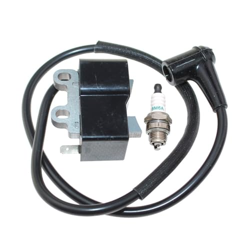 Module d'allumage pour souffleur à dos PB-500T version A411001460 - 4