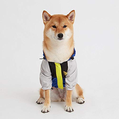 Corta-Vento para Cachorro, Dog Wings, Windbreaker Pocket, Azul, M