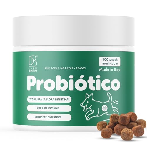 DBLabo Probióticos cão 100 Snack - probióticos cães proporciona bem-estar ao seu amigo leal de 4 patas - enzimas digestivas para cães para coceira de pele, alergia e sistema imunitário