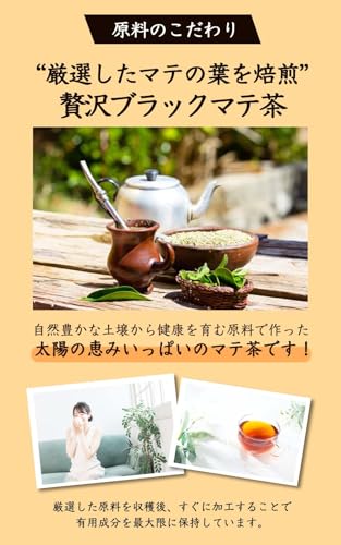 自然のごちそう マテ茶 ティーバッグ 30包