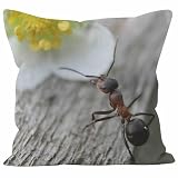💞Cremallera invisible: La cremallera oculta garantiza un aspecto sin costuras y una fácil inserción de su almohada. Se acabaron los engorrosos cierres y tendrás un aspecto pulcro y elegante.