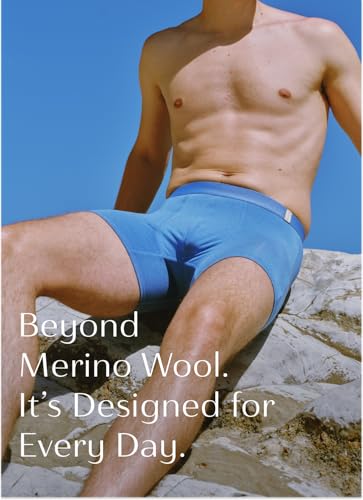 Mens Underwear Merino Wool 3D Boxer Brief Japan Soft Breathable Anti-Odor Tencel Outdoor Sports Hiking Travel3