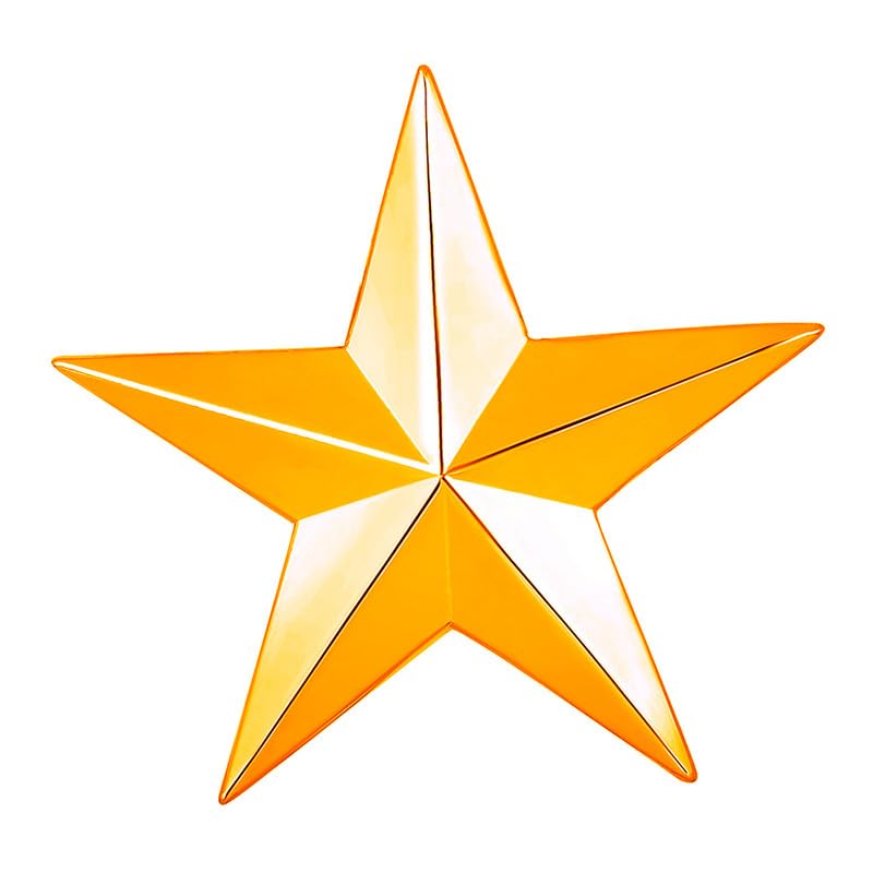 mahi Shining Star Lapel Pin Badge for Men (PABP1101164PR)-picture-24