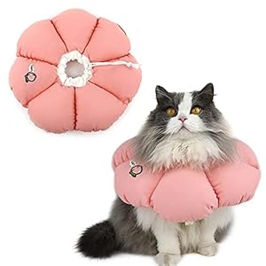 H HIDREAM Katzen-Kegelhalsband Rosa Blumen