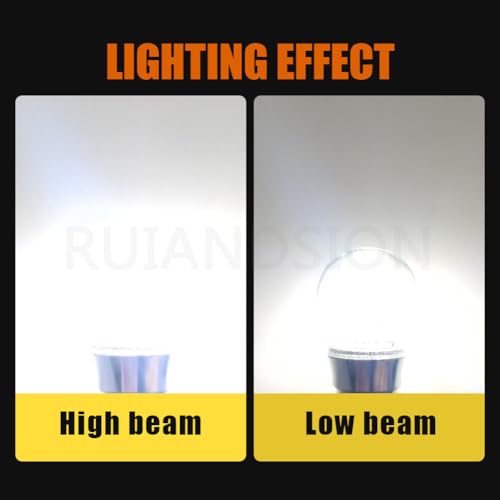 Ruiandsion BA20D LED Bulb 10-30V 1000Lm Luz Blanca miniatura 6