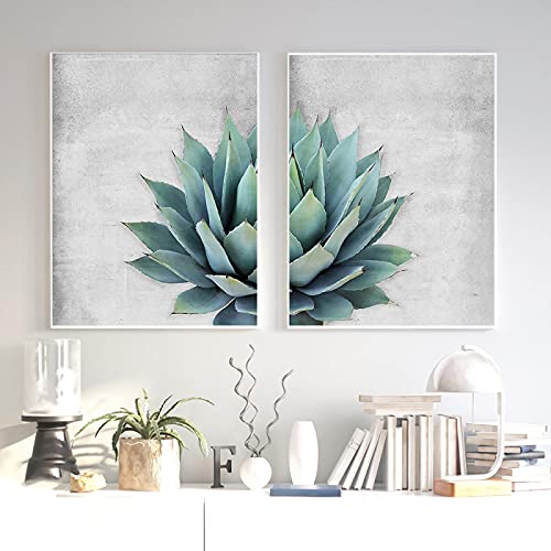 Affiche de plantes désertiques lot de 2 posters nature 50x70cm pour salon
