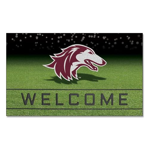 FANMATS 28052 Southern Illinois University Crumb Rubber Door Mat