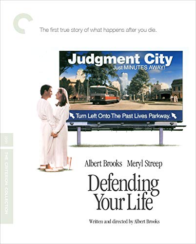 Defending Your Life Book Cover
