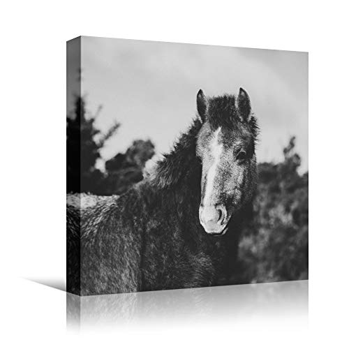 bestdeal depot High Contrast Horse XIV Animals Black and White