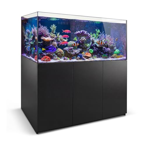 Coral Reef Aquarium Tank