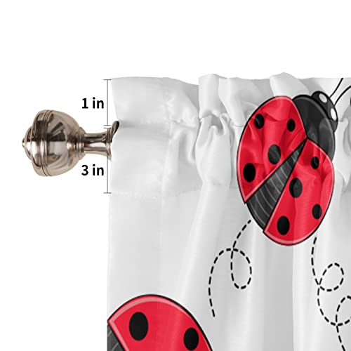 Meet 1998 Valance Curtains For Kitchen Windows Red Ladybug Window Valances Nature Insect Print Window Treatment Rod Pocket Valance For Bedroom Bathroom Laundry Room 54X18 Inch, 1 Panel #TOP4