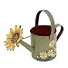 Antique Finish Spring Decorative Watering Can (Green)