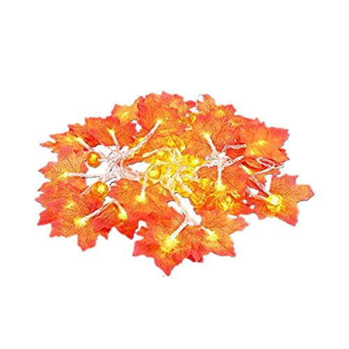 40 LED Ahornblätter Kürbis Lichterkette, Halloween Thanksgiving Dekorationen Lichter, Herbstgirlanden Lichter für Indoor Outdoor Halloween Thanksgiving Party Dekoration, Batteriebetrieben little Cover