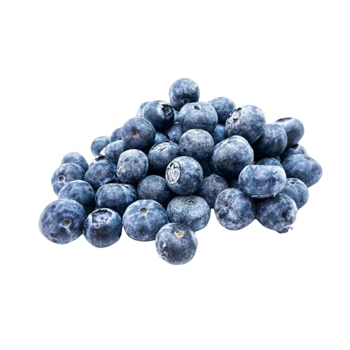 Zenxin Organic Blueberries 125g