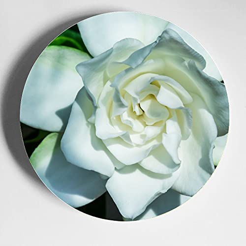 VFMKT Piatto decorativo in porcellana Bone China Piatto decorativo in ceramica con espositore in ceramica da parete decorazione per casa e ufficio decorazione da parete 17,8 cm