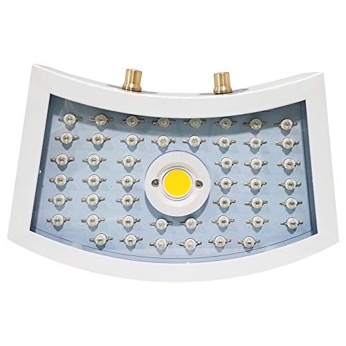1000W Optical Lense Series LED Pflanzenlampe Dual LED Grow Light Vollspektrum Wachsen Mit 2 Schalter Für Zimmerpflanzen Gemüse Und Blumen