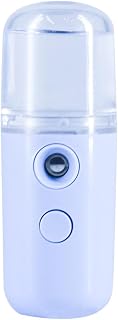 Ciieeo Portable Facial Mist Sprayer 30ml USB Charging Handy Face Steamer Plastic Skin Moistener for Spa and Dining Room Use